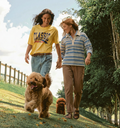 Chocola / 36